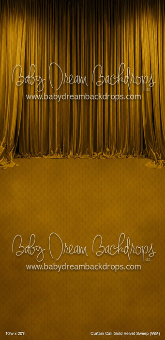 Curtain Call Gold Velvet Sweep (WM)