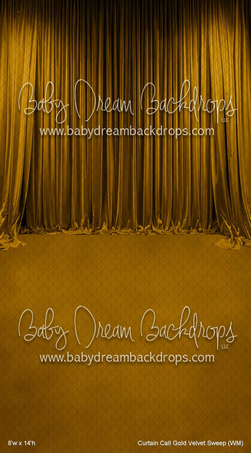 Curtain Call Gold Velvet Sweep (WM)