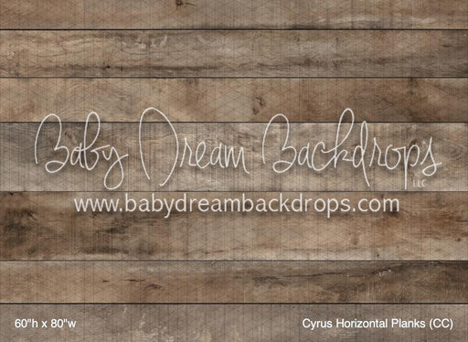 Cyrus Horizontal Planks (CC)