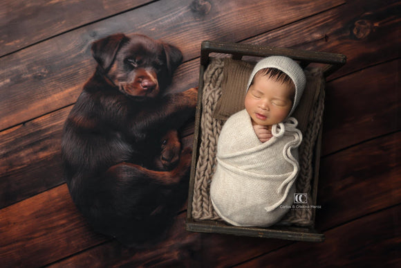 Itty Bitty Nursery Dream Puppy Chocolate Lab (GK)