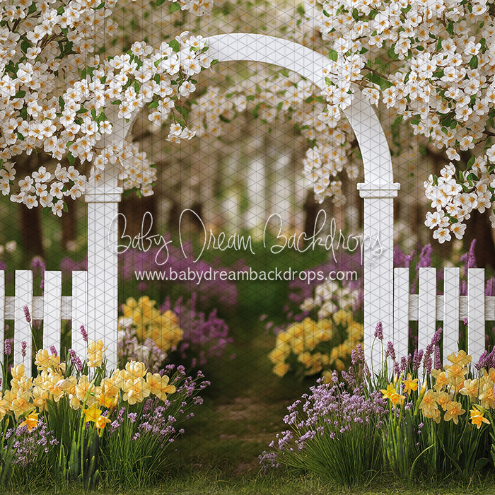Daffodil Dreams Arch (JA)