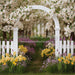Daffodil Dreams Arch (JA)