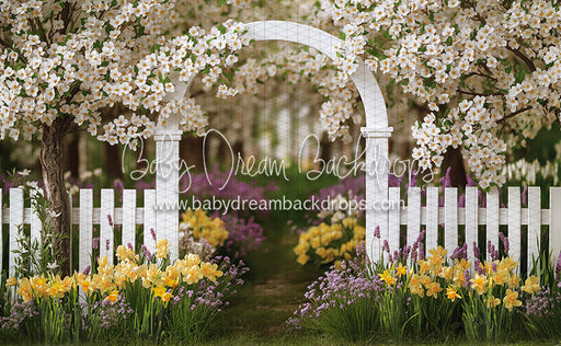 Daffodil Dreams Arch (JA)