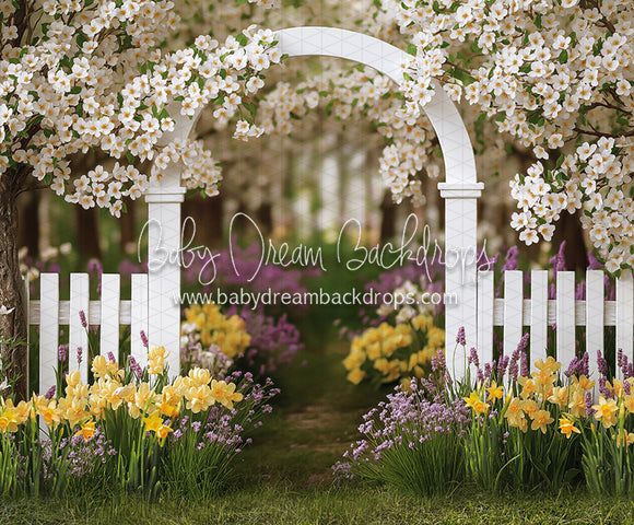 Daffodil Dreams Arch (JA)