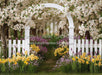 Daffodil Dreams Arch (JA)