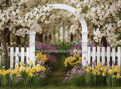 Daffodil Dreams Arch (JA)