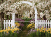 Daffodil Dreams Arch (JA)