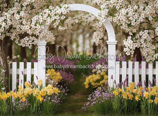Daffodil Dreams Arch (JA)