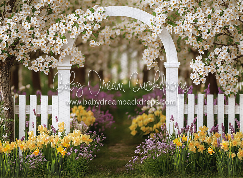 Daffodil Dreams Arch (JA)
