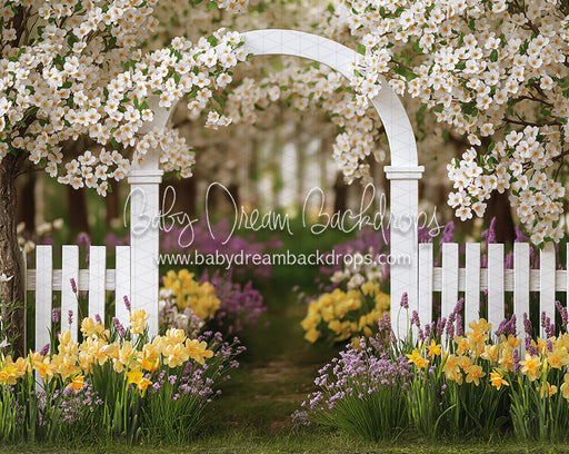 Daffodil Dreams Arch (JA)