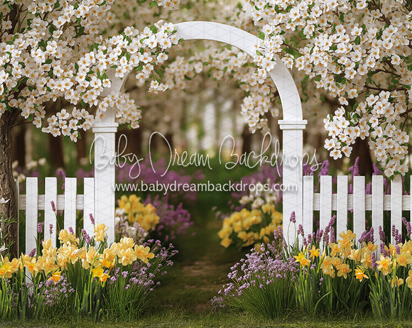 Daffodil Dreams Arch (JA)