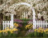 Daffodil Dreams Arch (JA)