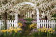Daffodil Dreams Arch (JA)