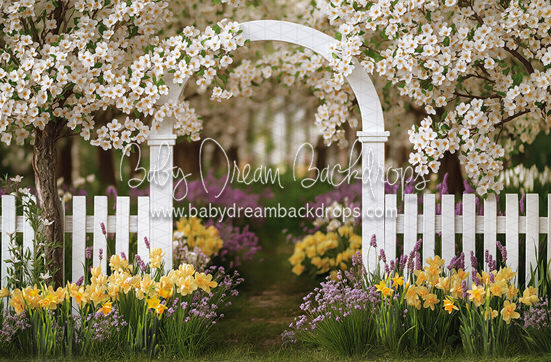 Daffodil Dreams Arch (JA)