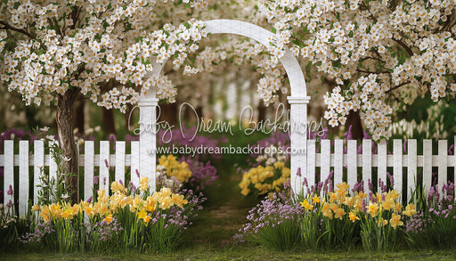 Daffodil Dreams Arch (JA)