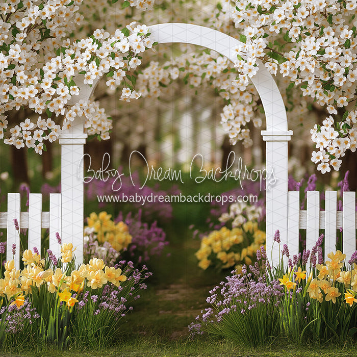 Daffodil Dreams Arch (JA)