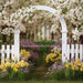 Daffodil Dreams Arch (JA)