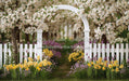Daffodil Dreams Arch (JA)