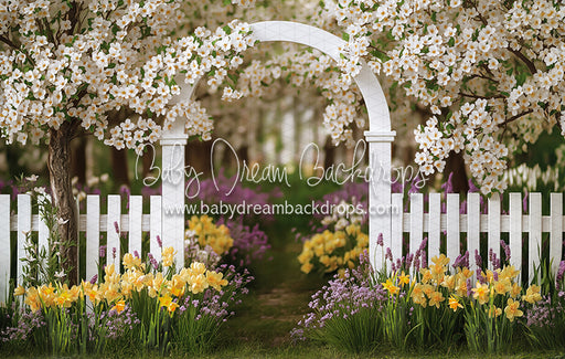 Daffodil Dreams Arch (JA)