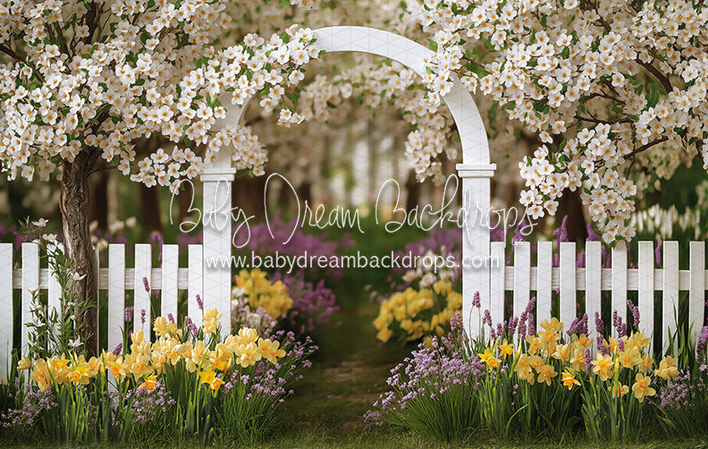 Daffodil Dreams Arch (JA)
