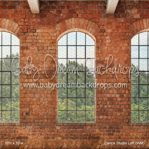 Dance Studio Loft (WM)