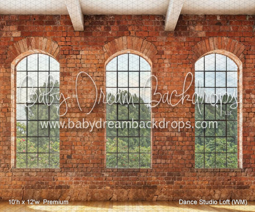 Dance Studio Loft (WM)