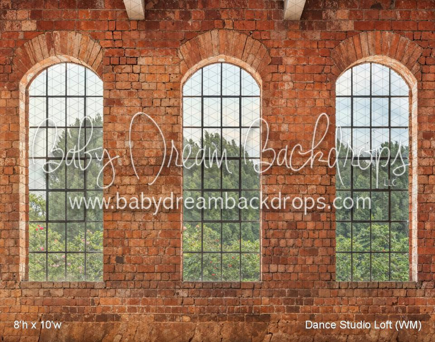 Dance Studio Loft (WM)