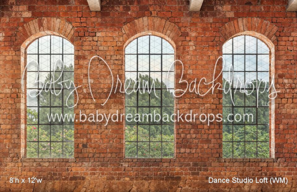 Dance Studio Loft (WM)