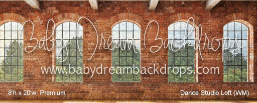 Dance Studio Loft (WM)