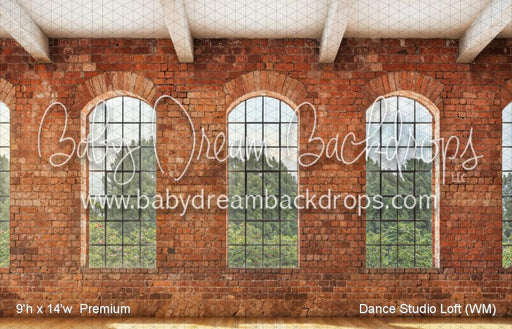Dance Studio Loft (WM)