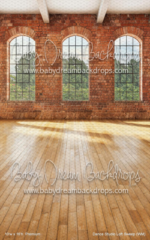 Dance Studio Loft Sweep (WM)