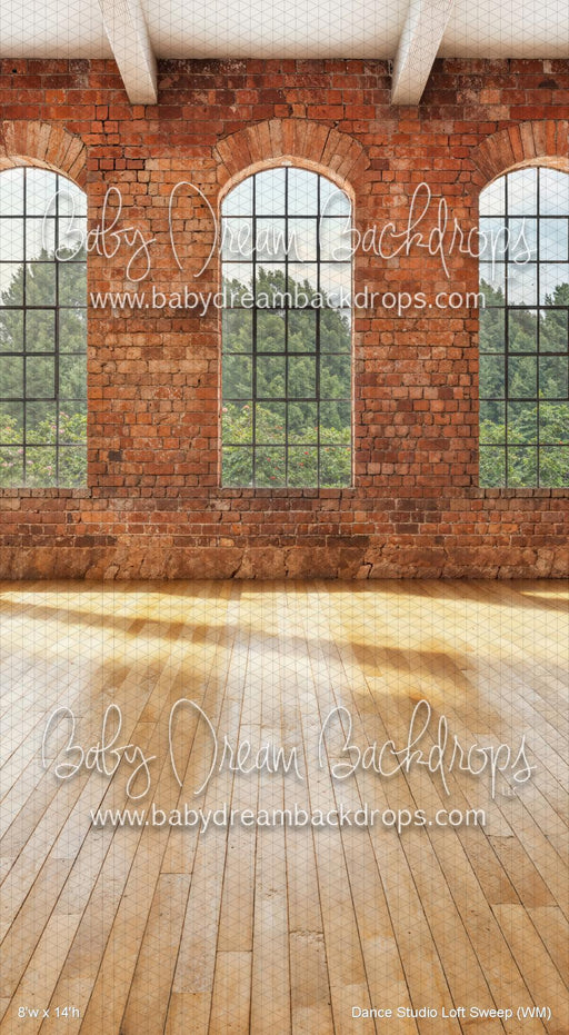 Dance Studio Loft Sweep (WM)