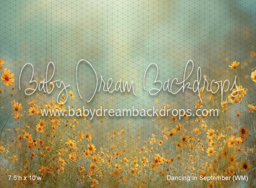 Dancing in September (WM)