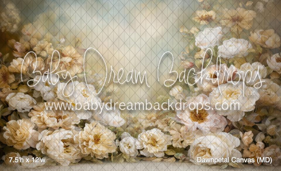 Dawnpetal Canvas (MD)