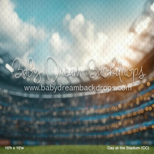 Day at the Stadium (CC)