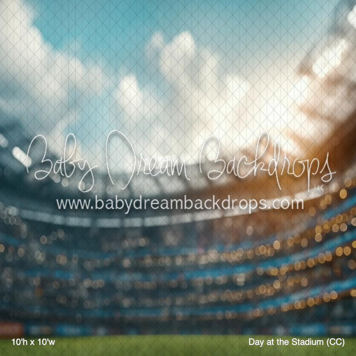 Day at the Stadium (CC)