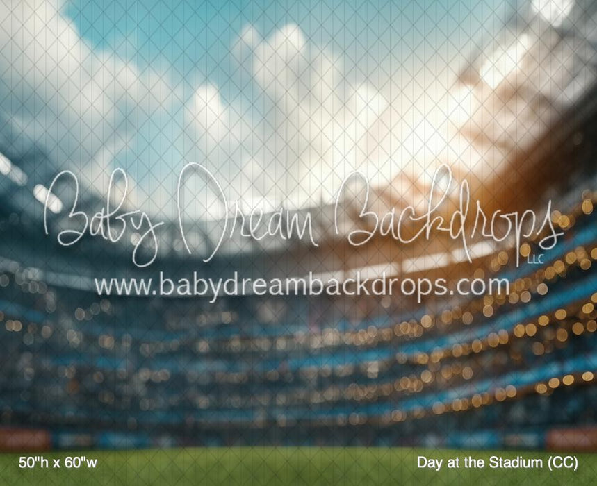 Day at the Stadium (CC)