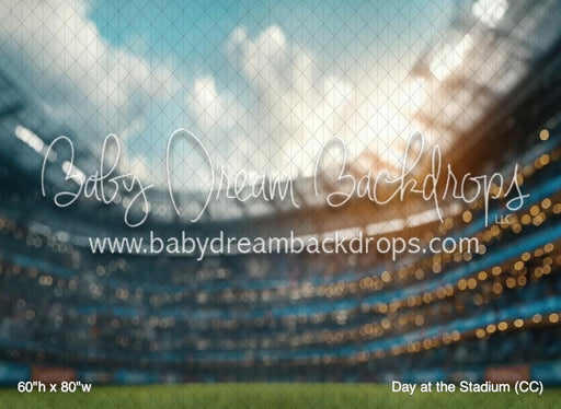 Day at the Stadium (CC)