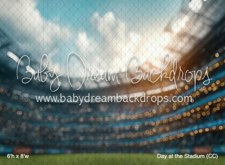 Day at the Stadium (CC)