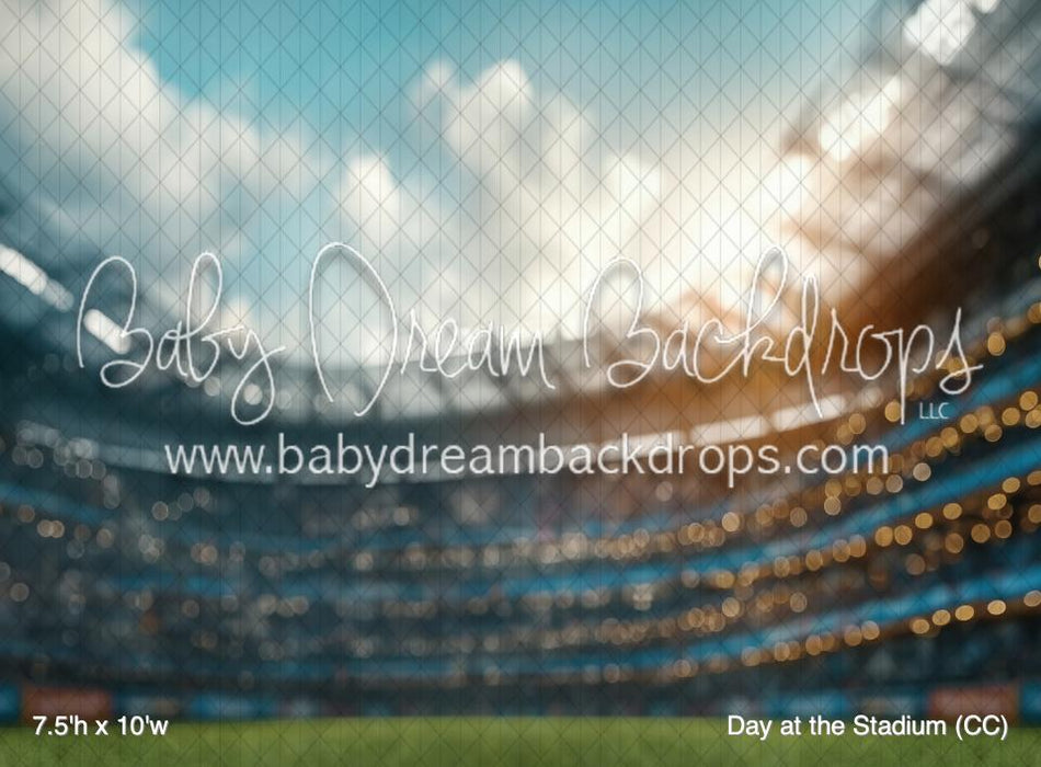Day at the Stadium (CC)