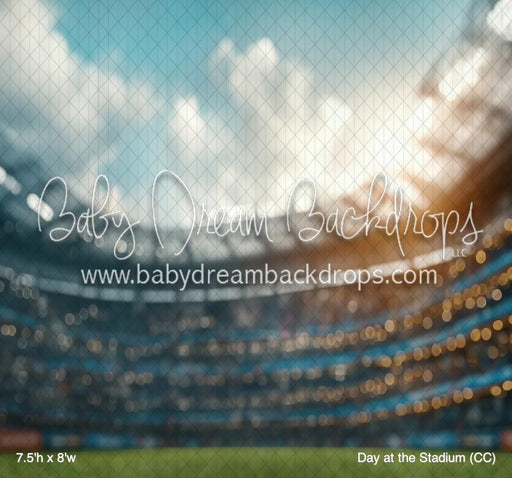 Day at the Stadium (CC)