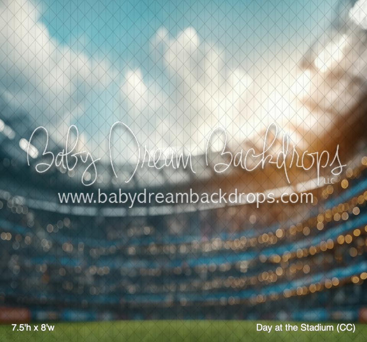 Day at the Stadium (CC)