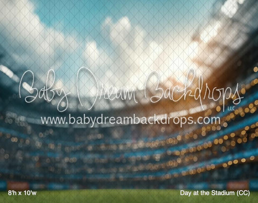 Day at the Stadium (CC)