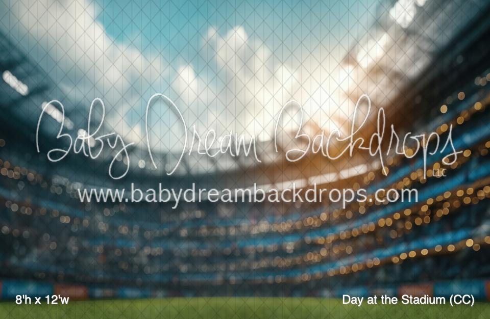 Day at the Stadium (CC)