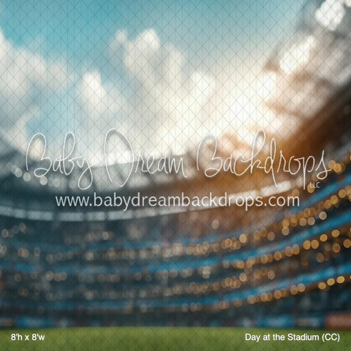 Day at the Stadium (CC)
