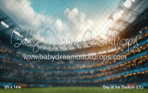 Day at the Stadium (CC)