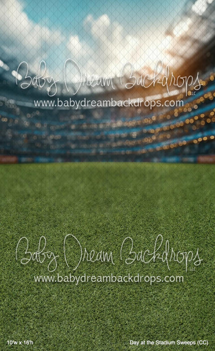 Day at the Stadium Sweeps (CC)