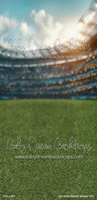 Day at the Stadium Sweeps (CC)
