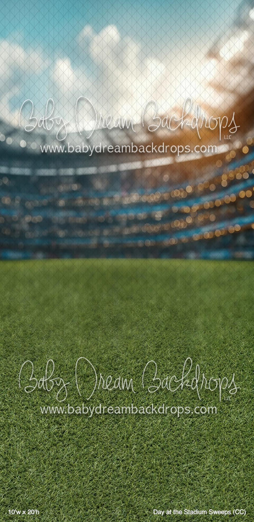 Day at the Stadium Sweeps (CC)