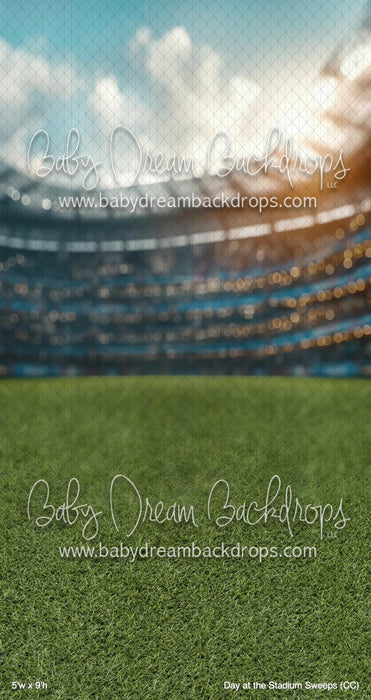 Day at the Stadium Sweeps (CC)